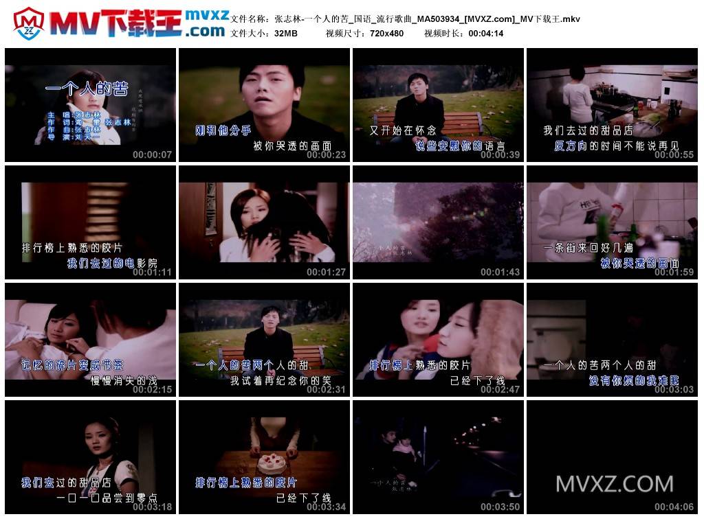 张志林-一个人的苦_国语_流行歌曲_MA503934
